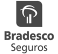 Bradesco Seguros