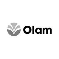 Olam