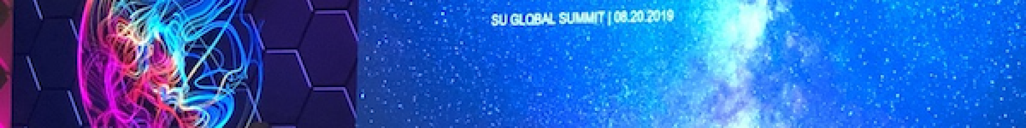 SUGlobal Summit